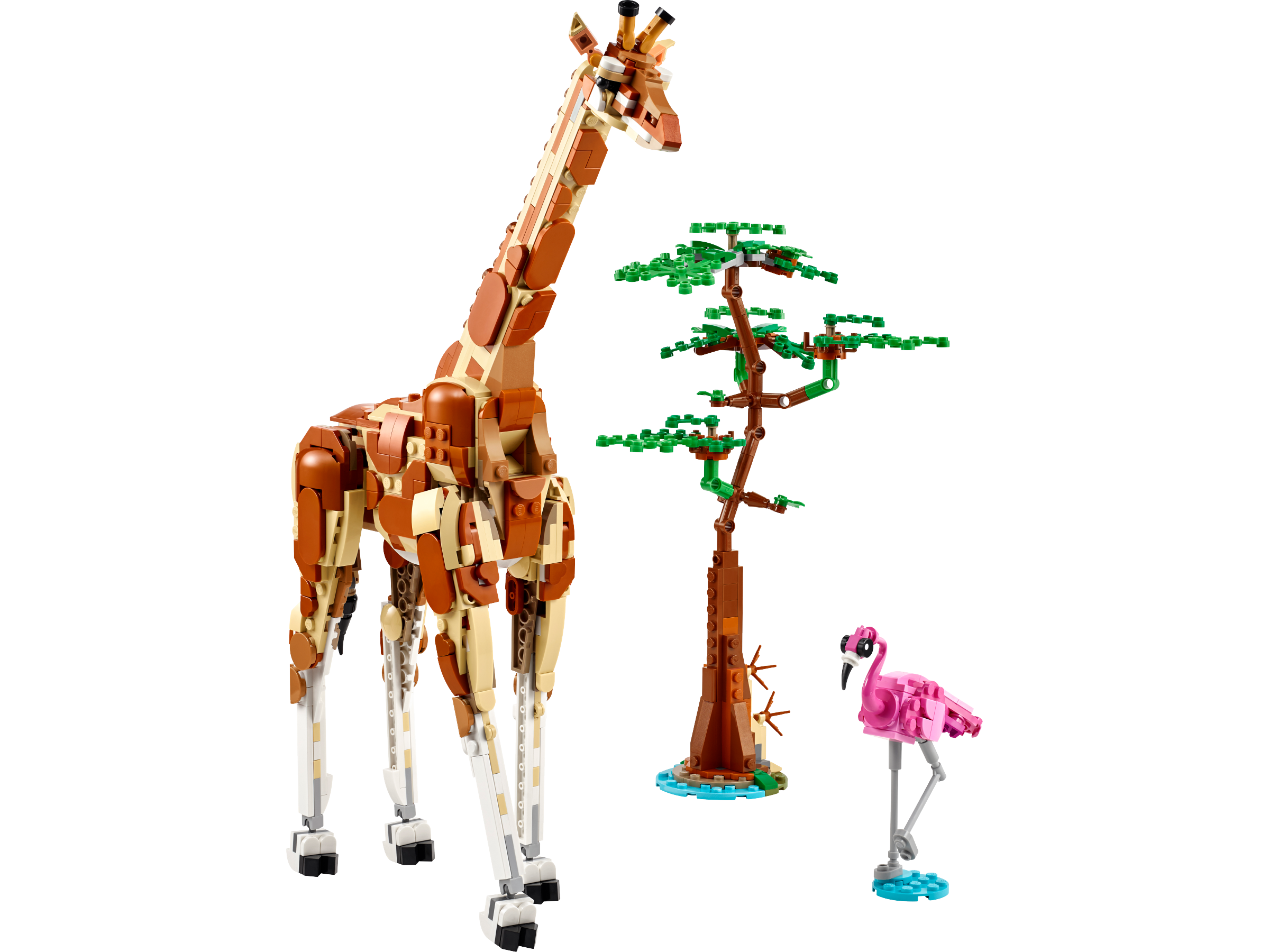 Wild Safari Animals