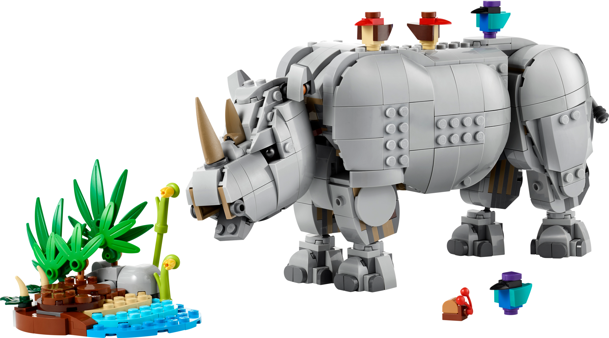 Wild Animals: Majestic Rhino with Birds