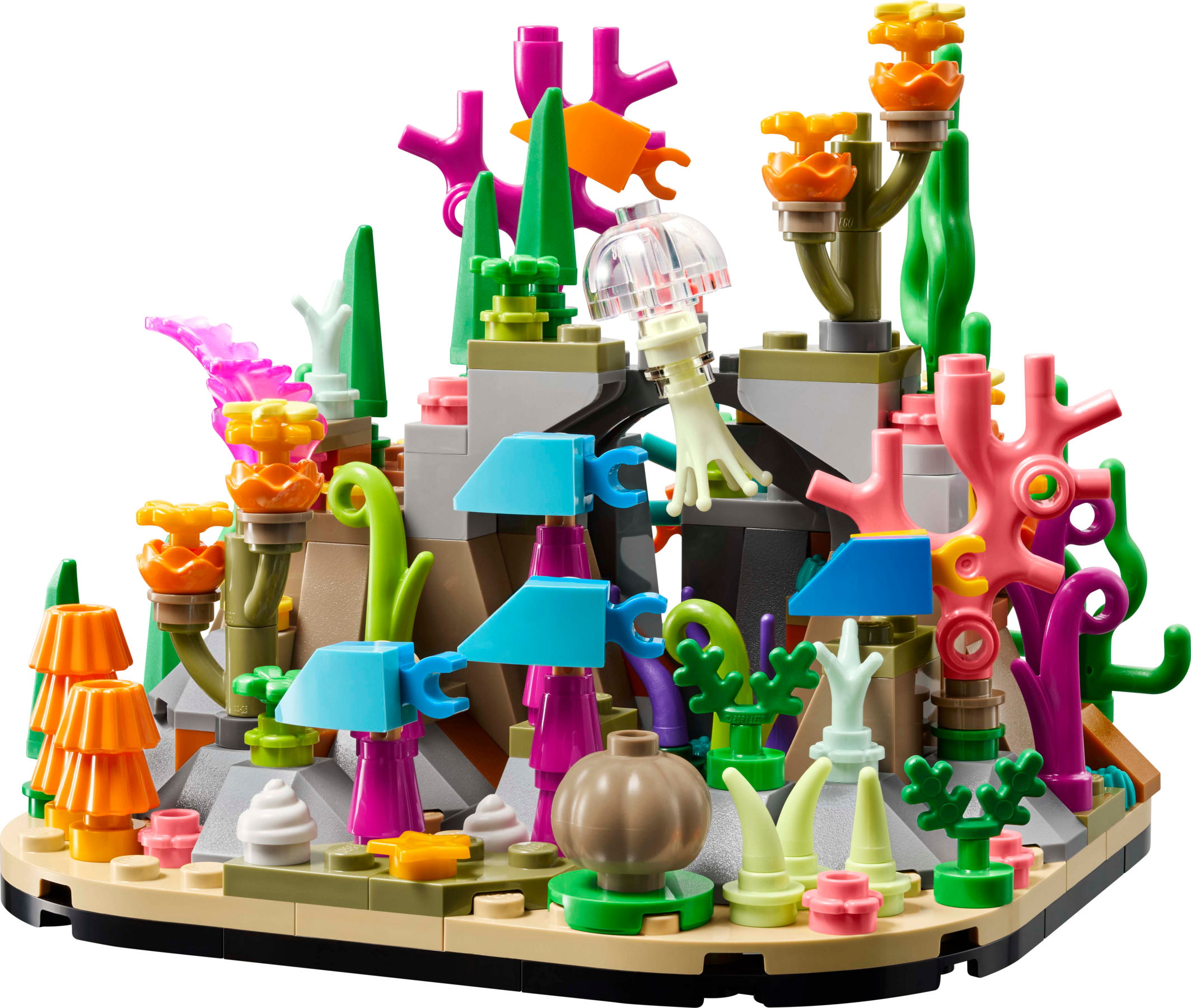Coral Reef Diorama