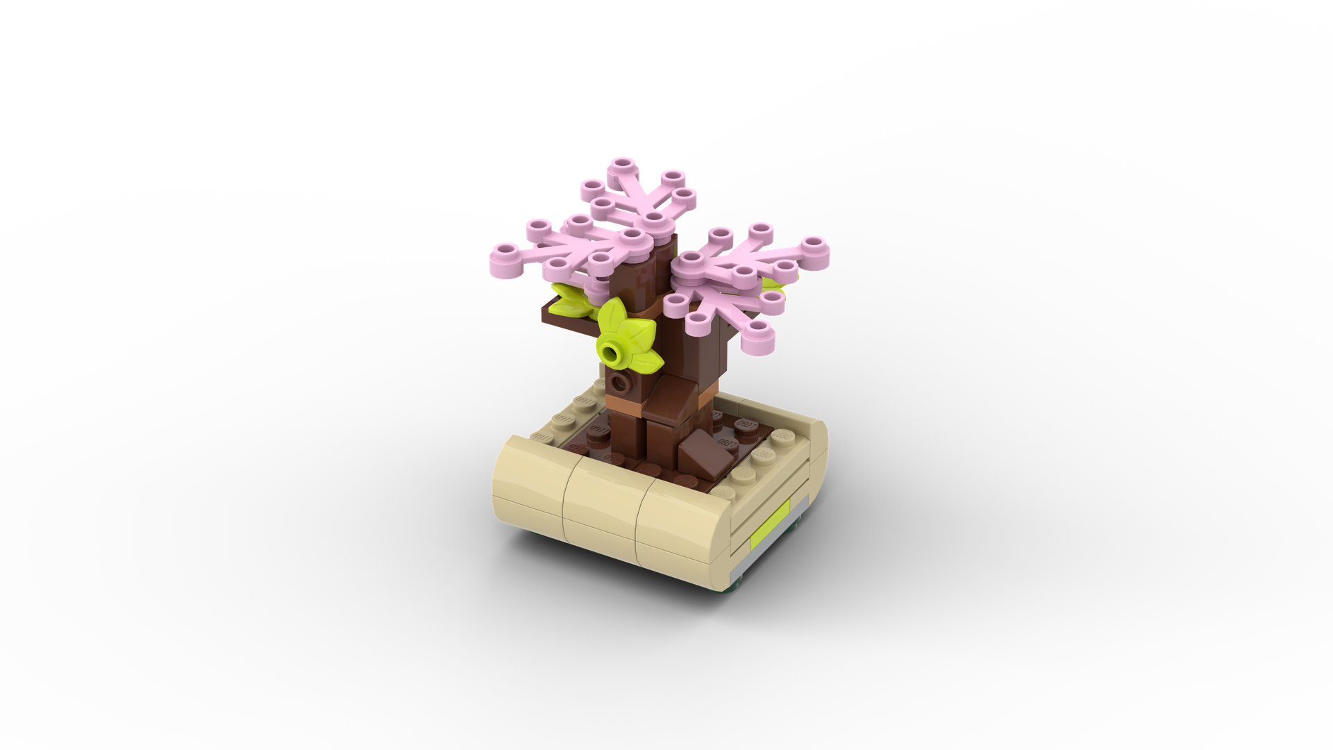 Lovely Bonsai Tree