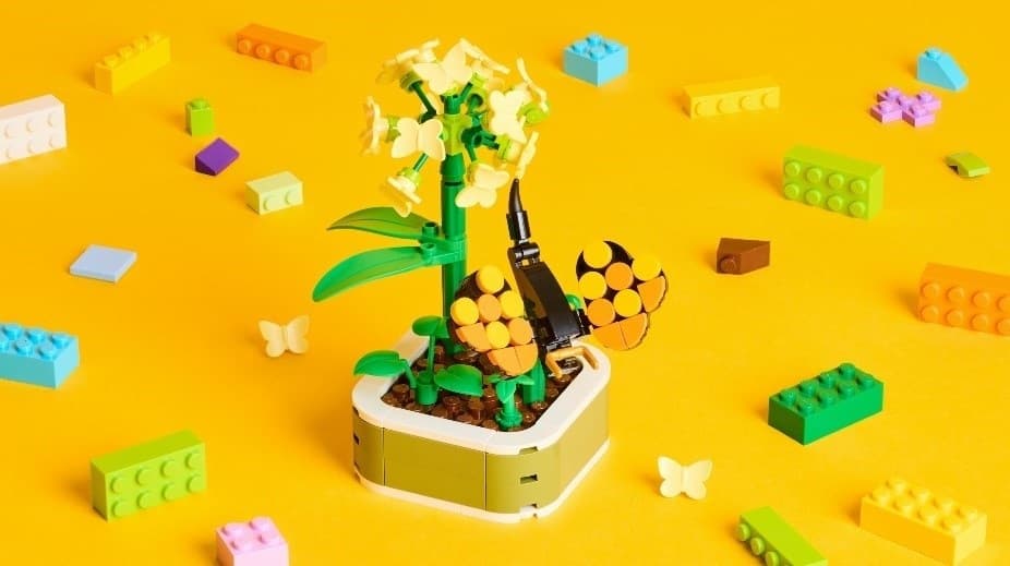 Creativity Workshop: Botanicals